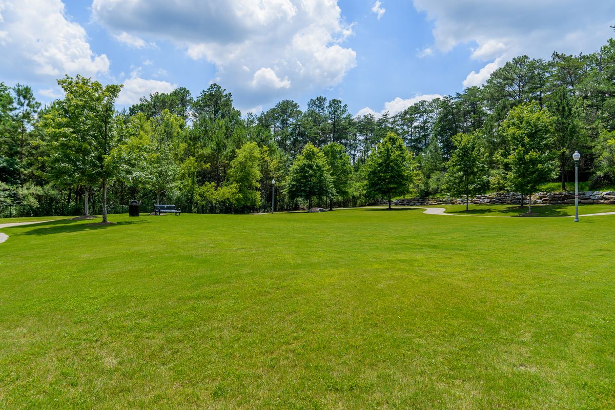 Green space in Liberty Park
